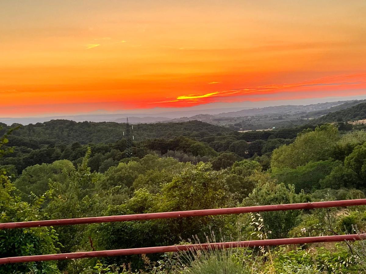 B&B Il Tramonto Barbarano Romano Екстер'єр фото