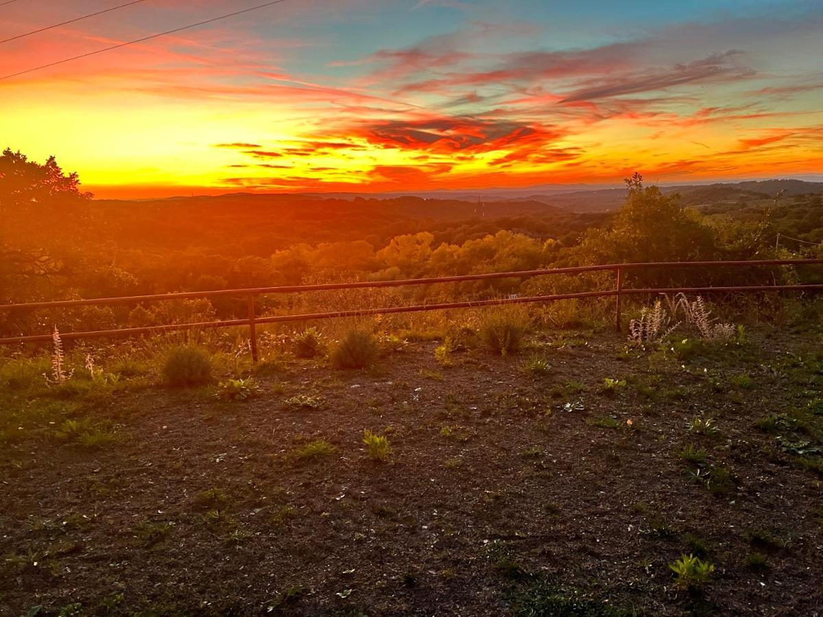 B&B Il Tramonto Barbarano Romano Екстер'єр фото