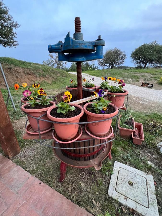 B&B Il Tramonto Barbarano Romano Екстер'єр фото